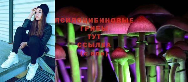 СК Абдулино