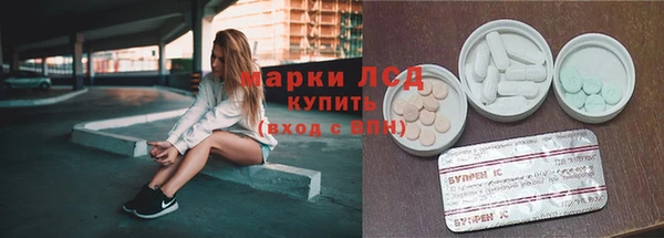 индика Абинск