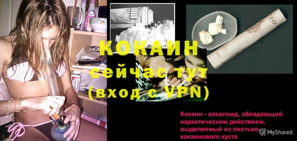 индика Абинск