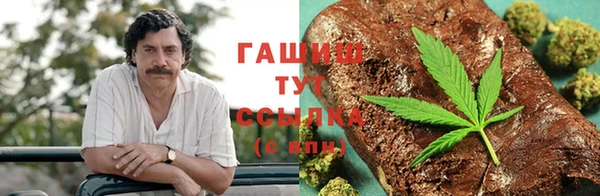 индика Абинск