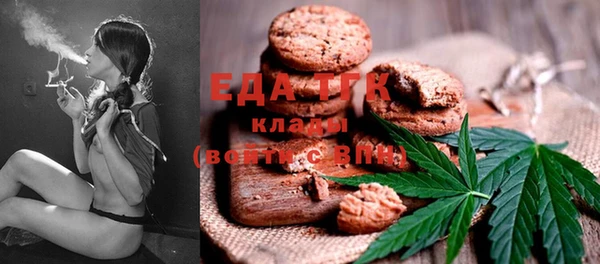 индика Абинск