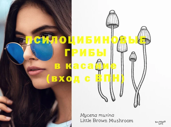 не бодяженный Алексин