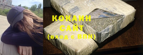 индика Абинск